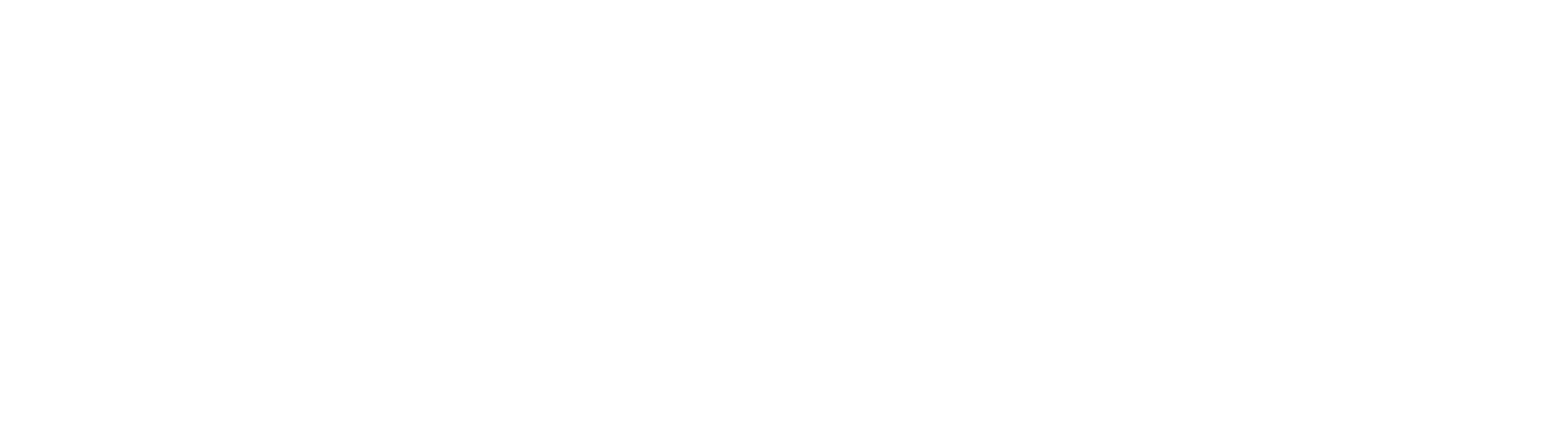 Sai Flys Drones